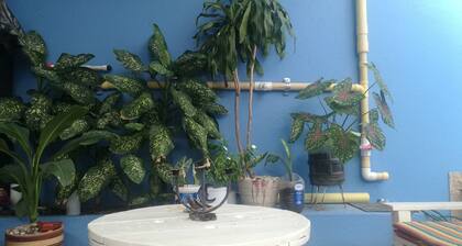 CASA ESTUDIO (Baño privado)