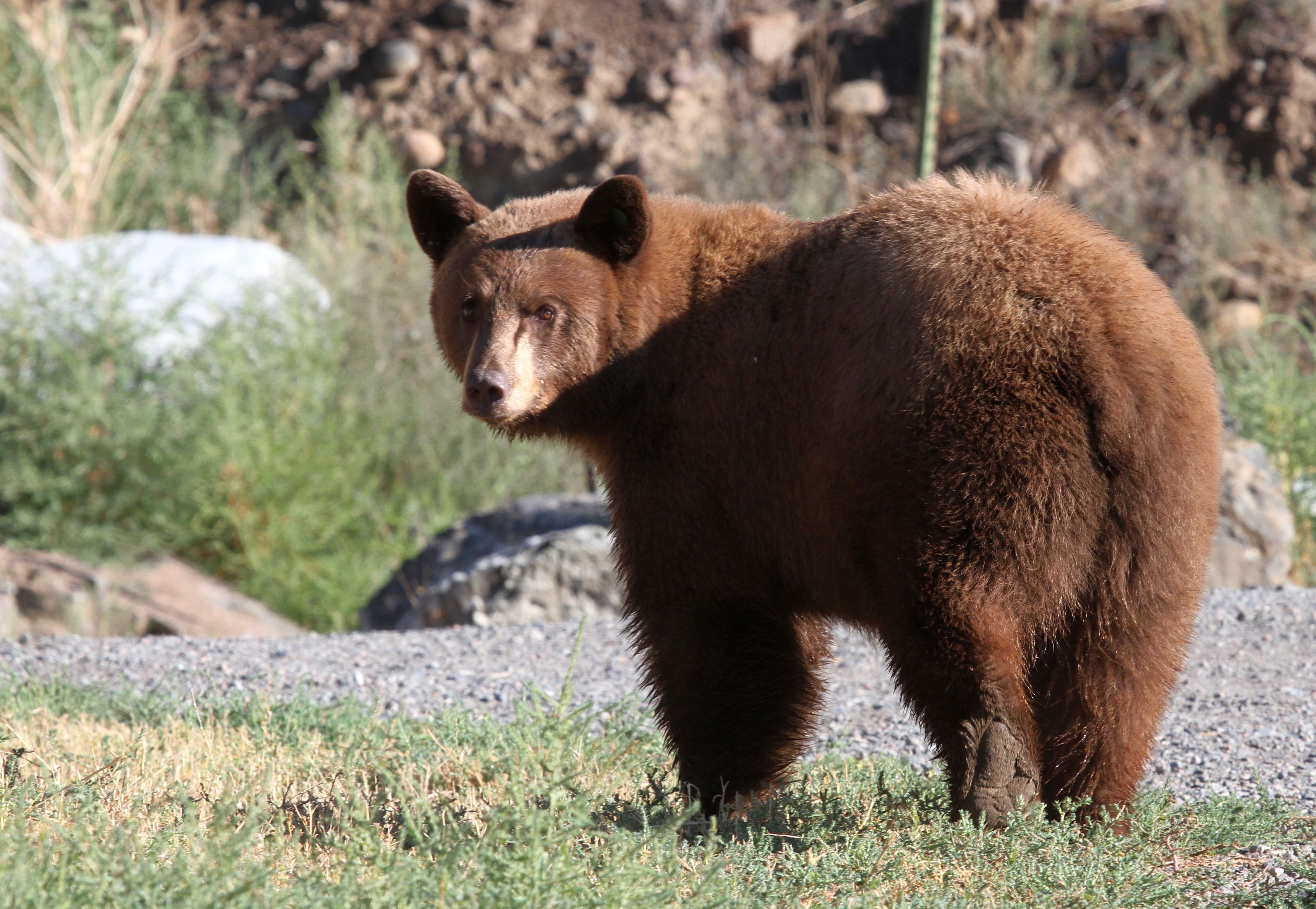 land view from property