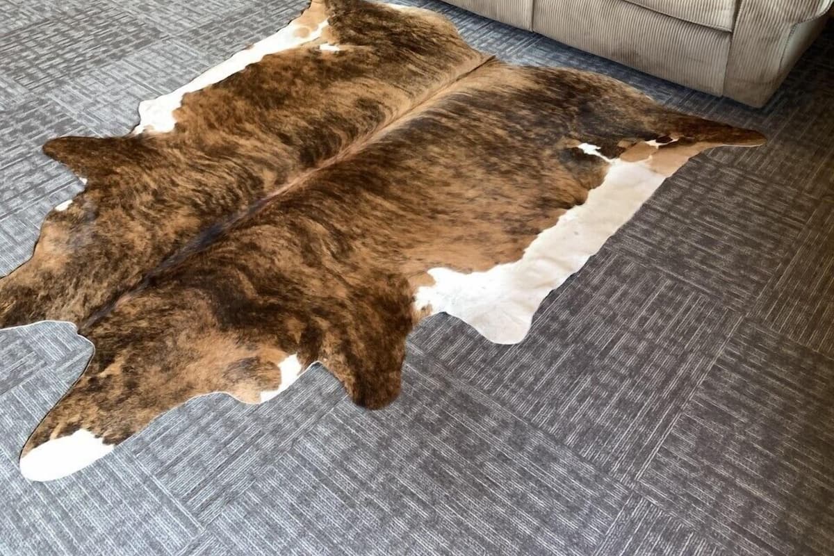 A room with a bed, a sofa, a rug, and a cowhide rug.