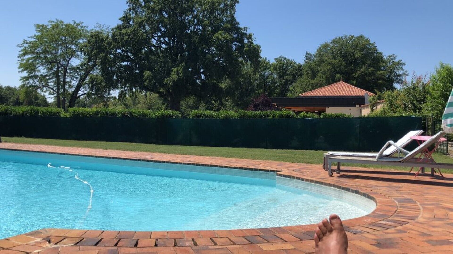 A swimming pool with a tiled edge, surrounded by a brick patio. There are lounge chairs and a small building in the background.