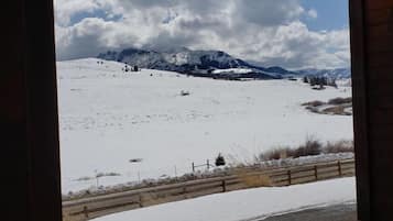 Vista desde la propiedad