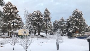 A snowy landscape with trees and a building.