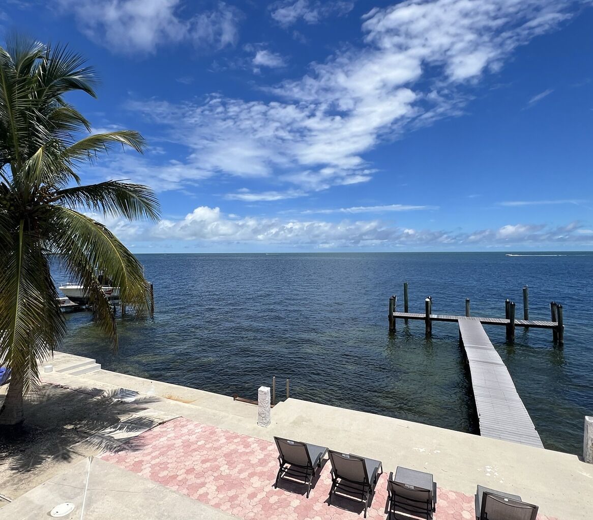 A poolside area with a view of the ocean, a palm tree, and a dock extending into the water.