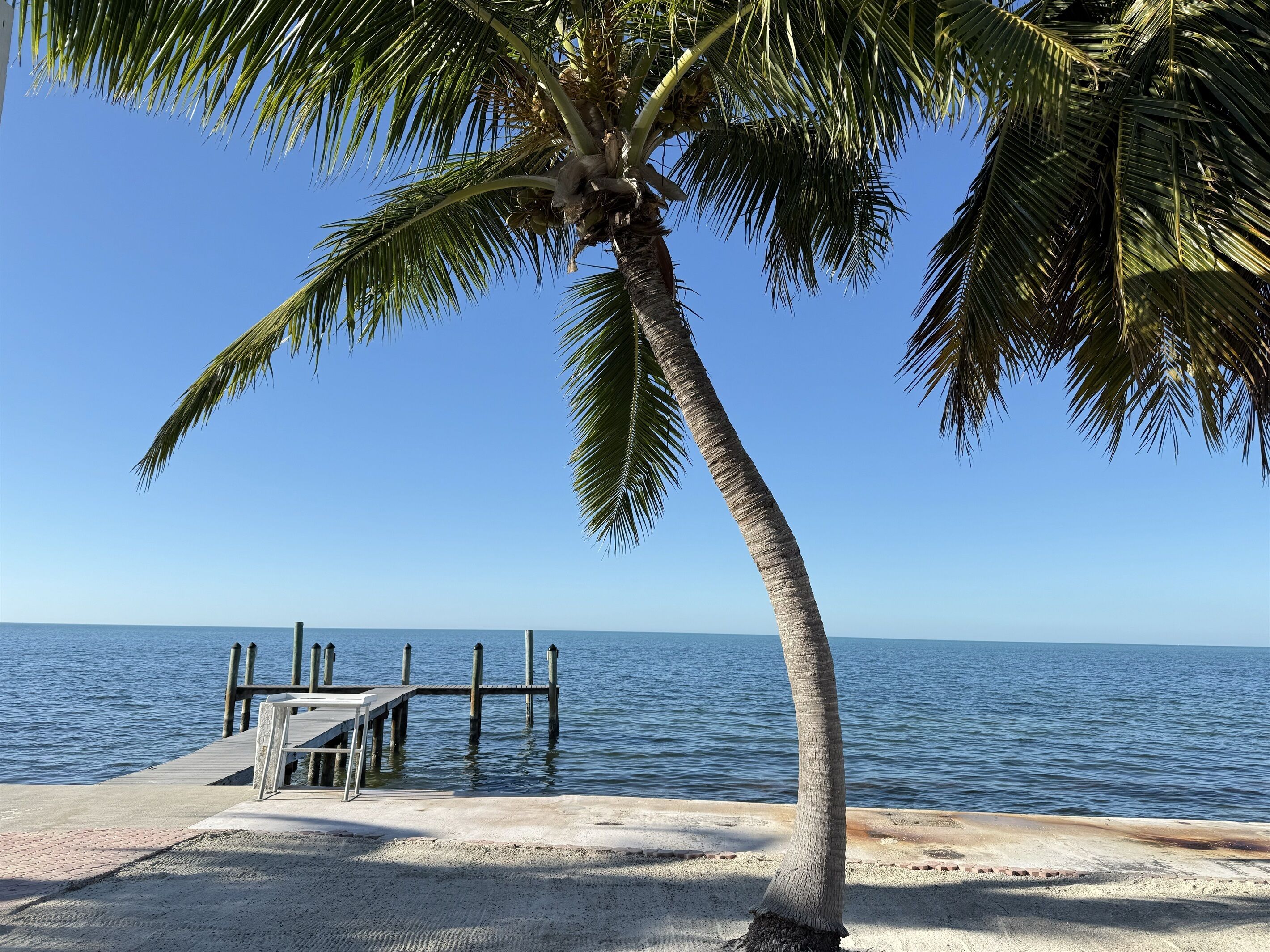 Ein Strand mit einer Palme, einem Holzsteg und ruhigem Wasser.
