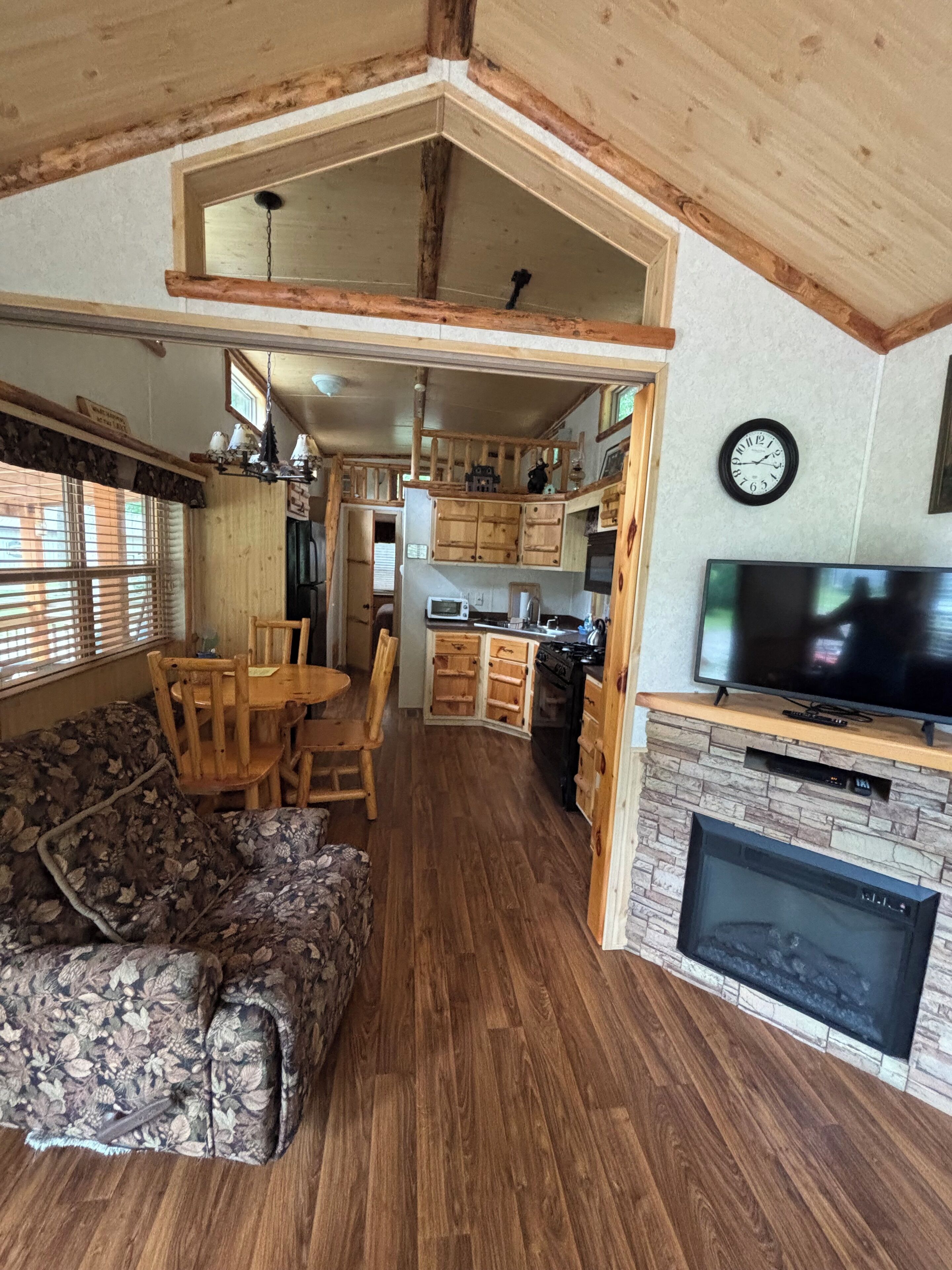 TV, fireplace, DVD player, books