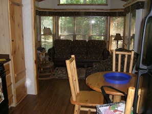 TV, fireplace, DVD player, books