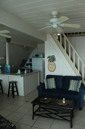 TV - Blue Mermaid Beach Front House (Surfside Beach)