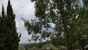 A pool area with white lounge chairs and a table under a tree, surrounded by a wooden fence and greenery. - Still available from August 17 to August 31! La Xaconera d' Ardenya (Ardenya, Tarragona)