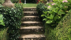 Een tuin met stenen traptreden die leiden naar een prieel, omgeven door weelderige begroeiing en bloeiende planten.
