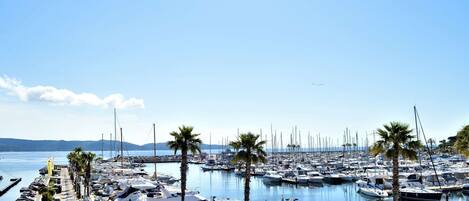 Marina