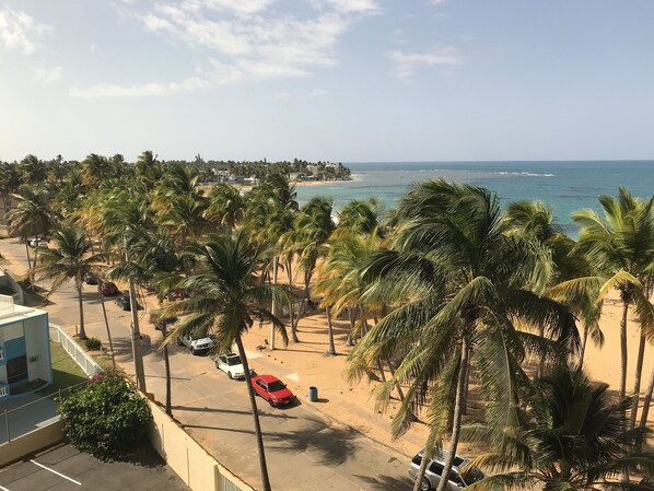 A coastal road lined with palm trees, leading to a beach with clear blue water.