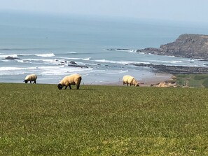 Beach nearby - Holiday Chalet in Widemouth Bay Holiday Village, Bude - path to sandy beach. (Bude)