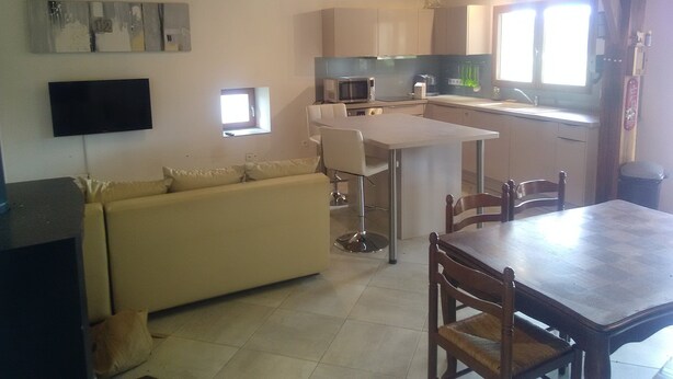 A compact living space with a sofa, dining table, chairs, a TV, a small kitchen area, and a window.