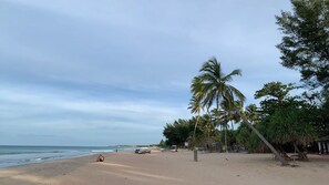 On the beach - Palm view inn-Nilaveli (Nilaveli)