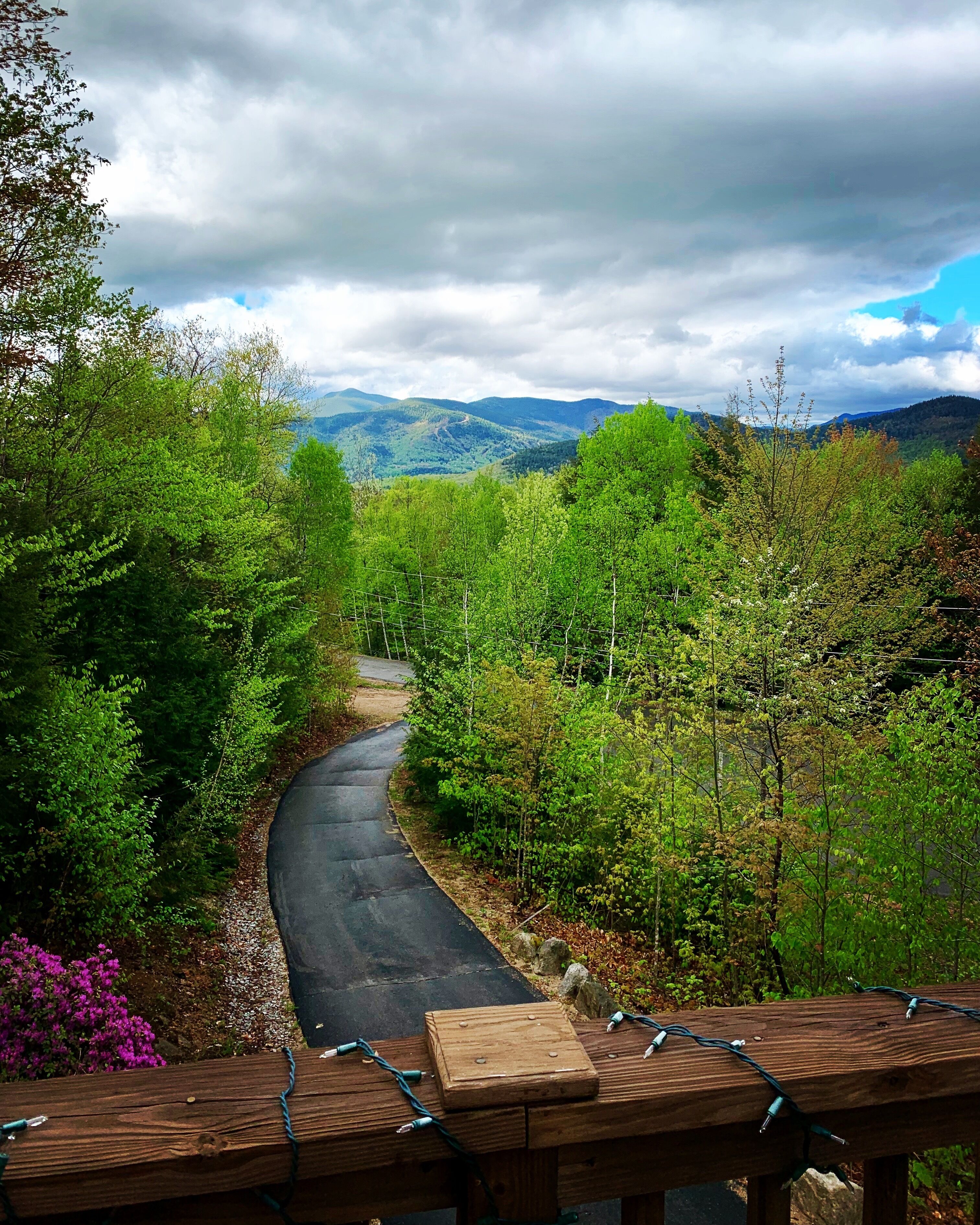Wake up to MOUNTAIN VIEWS and endless adventures! Sleeps 10!