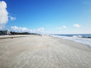 En la playa y camastros 