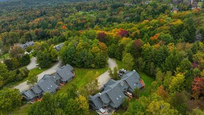 A residential area with multiple houses, a well-maintained lawn, and a dense forest in the background.
