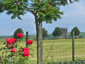 Property grounds - House of character in the heart of the Basque Country in Ossès (ossès)