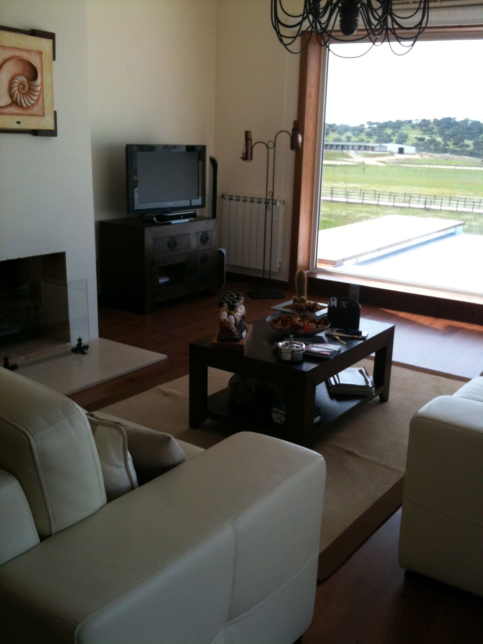 智能电视、壁炉、DVD 播放器、影片库