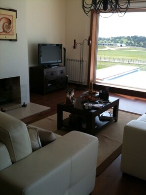 Smart TV, chimenea, reproductor de DVD y videoteca 