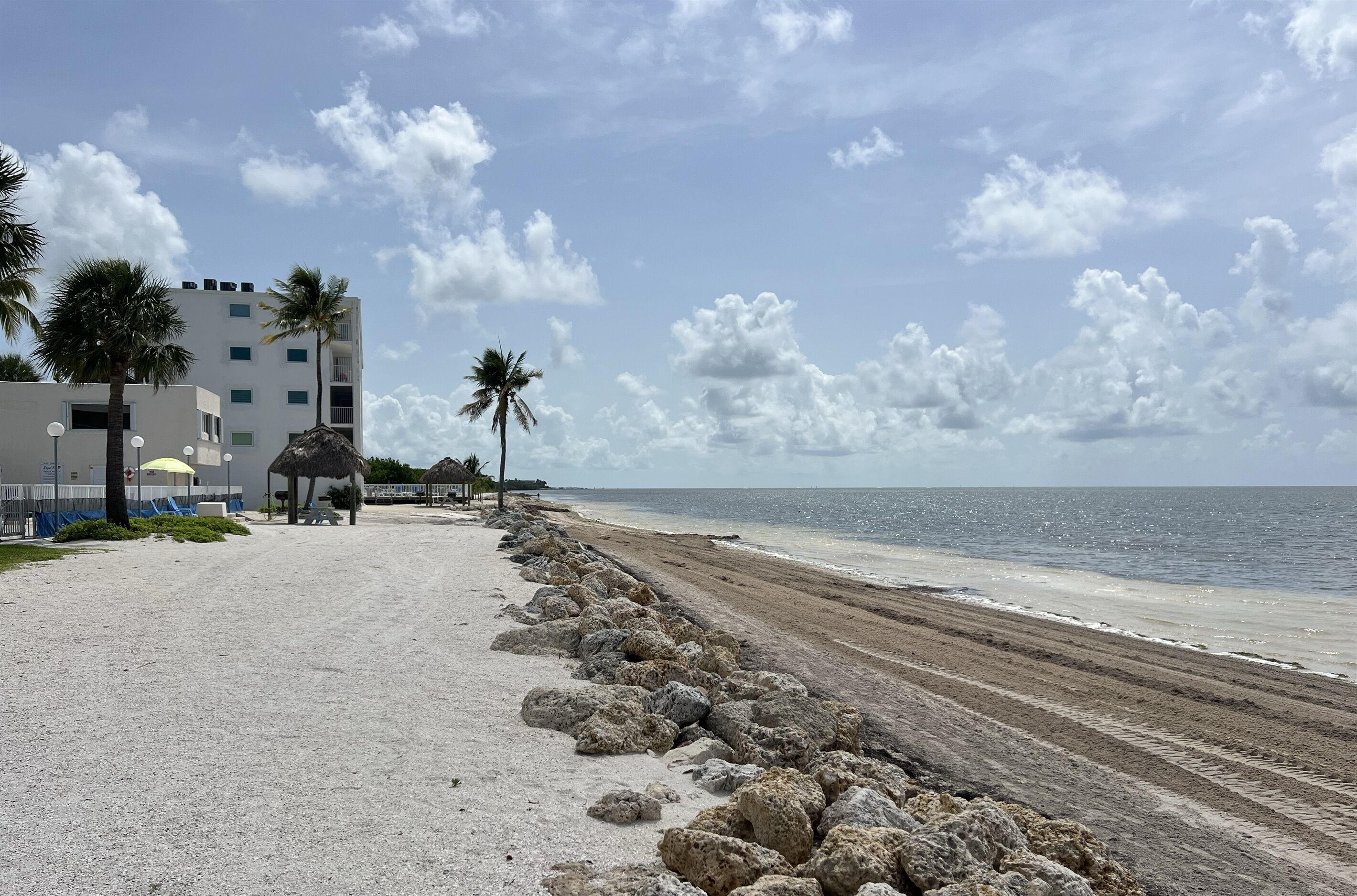 A beach with a rocky shoreline, palm trees, and a building with balconies.