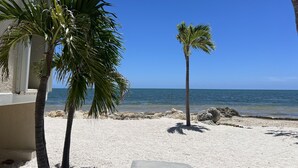 Ein Strand mit weißem Sand, Palmen und einem klaren, blauen Himmel.