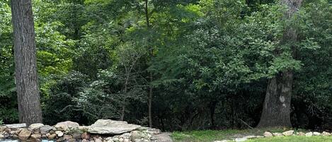 A grassy area with three deer grazing near a small pond surrounded by rocks.