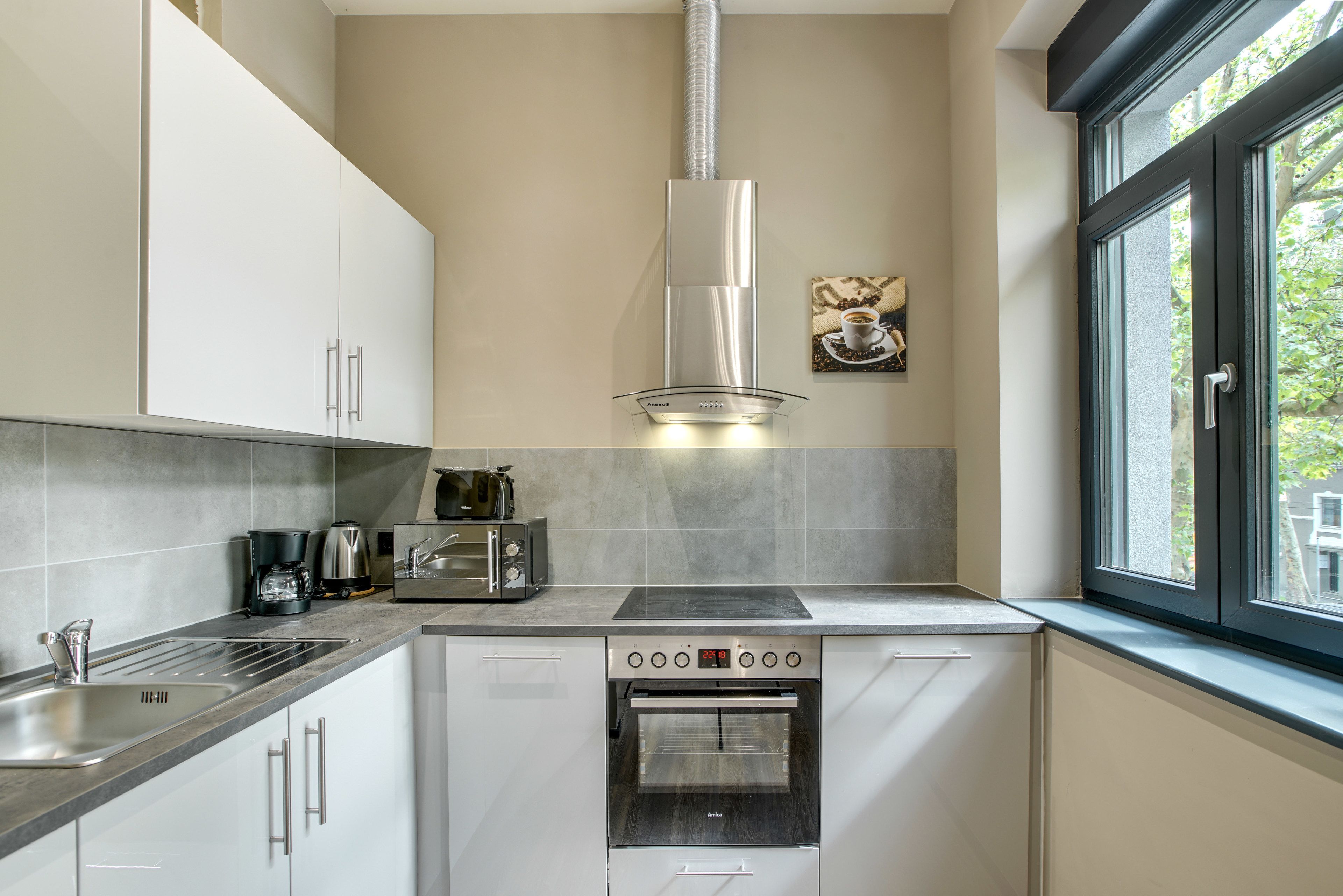 Full-sized fridge, microwave, oven, stovetop