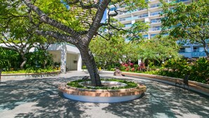 A landscaped courtyard with a central tree, a circular seating area, and a multi-story building in the background. - Perfect Location In Waikiki, Near Beach, Shopping, and Dining! (Honolulu)