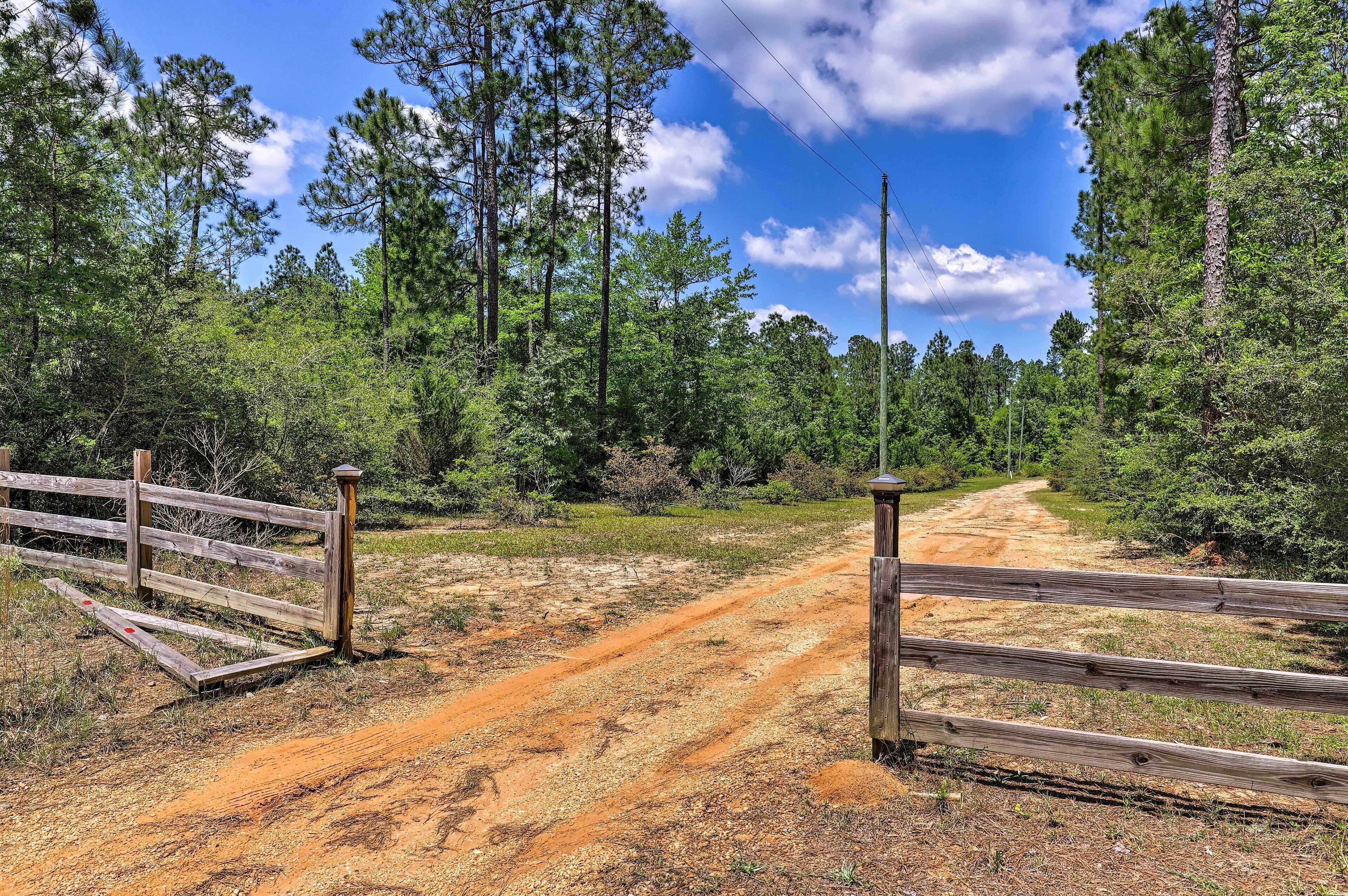 A dirt road leading through a forested area with wooden fences on either side.