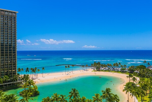 Enjoy expansive ocean views from this beachfront hotel, situated on a sandy shore with palm trees.