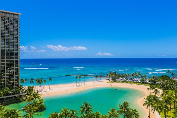 Enjoy expansive ocean views from this beachfront hotel, situated on a sandy shore with palm trees.