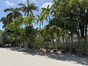 Property grounds - Caribbean Sunsets: 3BR Home Gulf Views Pool & Dock (Marathon)