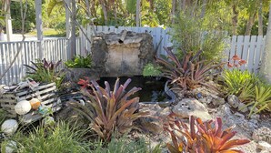 A garden with a pond, rocks, and various plants. - Caribbean Sunsets: 3BR Home Gulf Views Pool & Dock (Marathon)