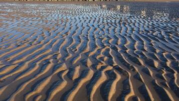 Accommodatie ligt op het strand