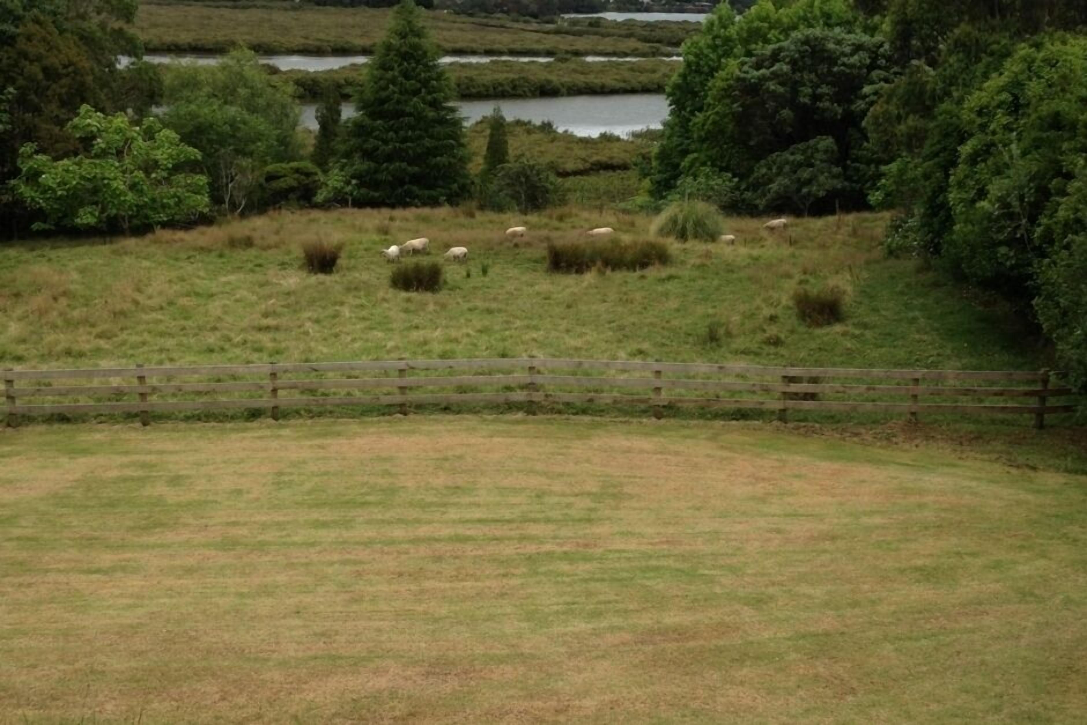 Ein grasbewachsenes Feld mit einem Holzzaun und einer Schafherde beim Grasen.