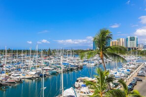 Marina