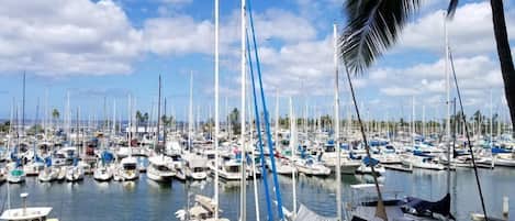 Marina