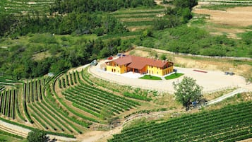 Weingut