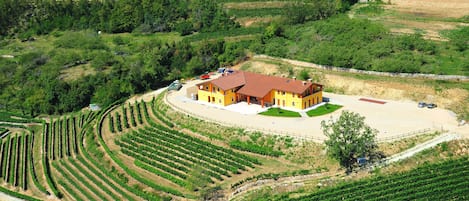 Winery