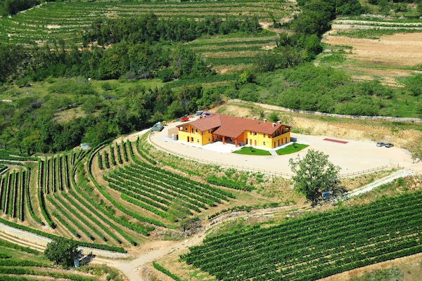 Bodega de vino