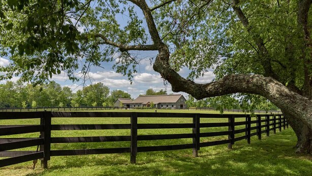 A fenced pasture with a large tree and a building in the background. - Orchard Park cottage (Versailles)