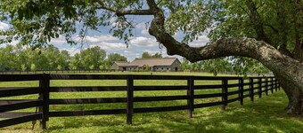 Orchard Park cottage