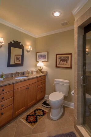 Combined shower/bathtub, hair dryer, towels, soap