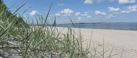 Nära stranden