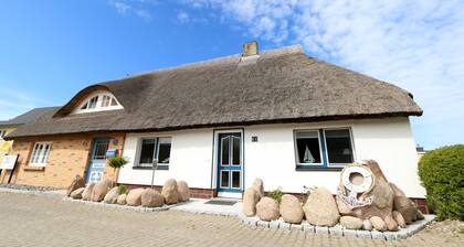 MR: House on the Wiek with terrace - House on the Wiek with terrace