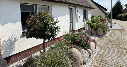 MR: House on the Wiek with terrace - House on the Wiek with terrace