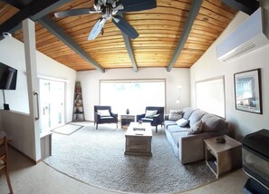 TV, fireplace, books, music library