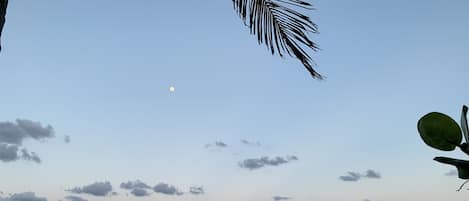 靠近海滩、沙滩毛巾