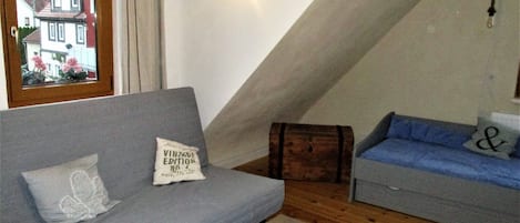 TV, books, music library, video library